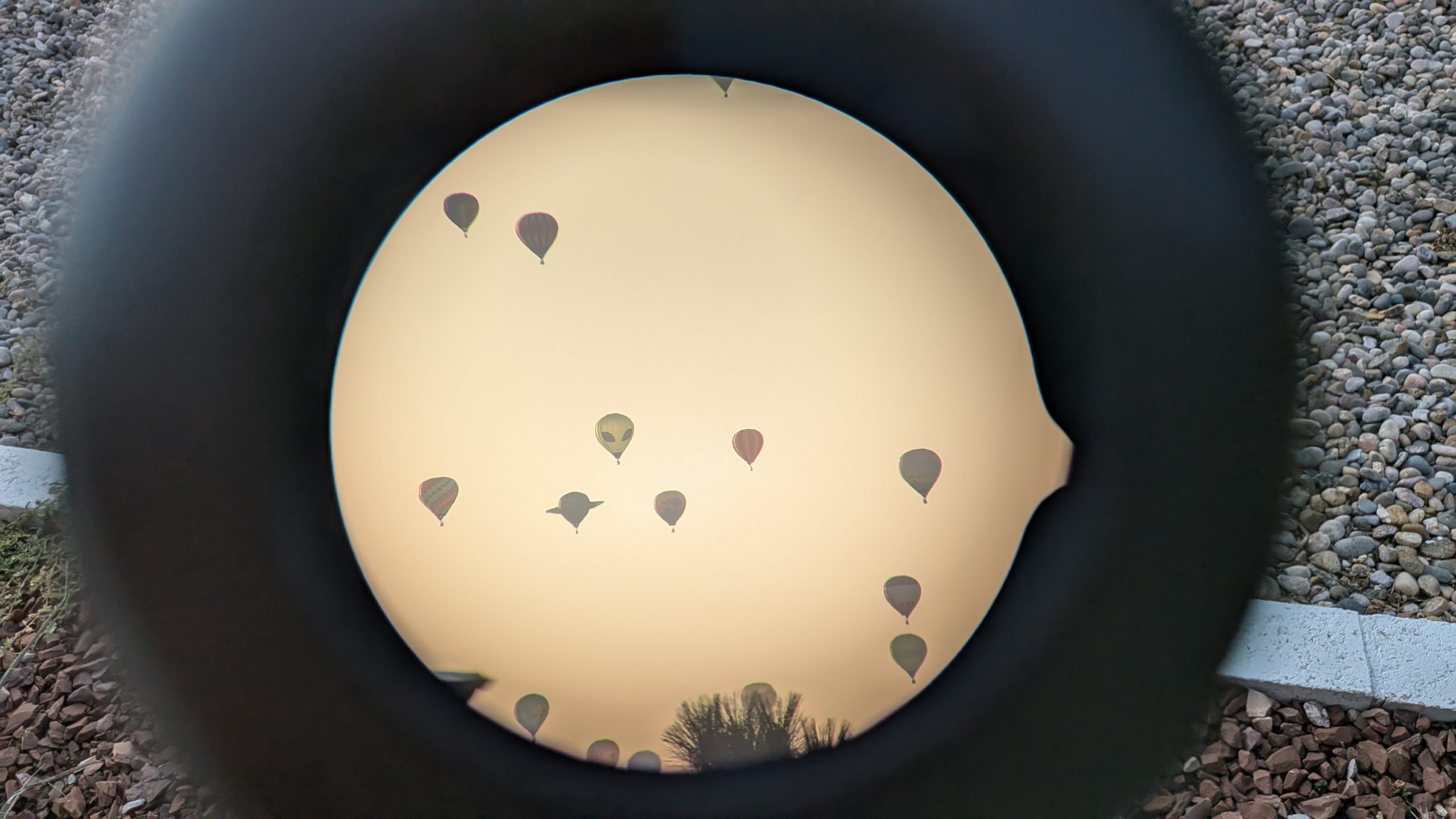 PXL_20251010_134343249
