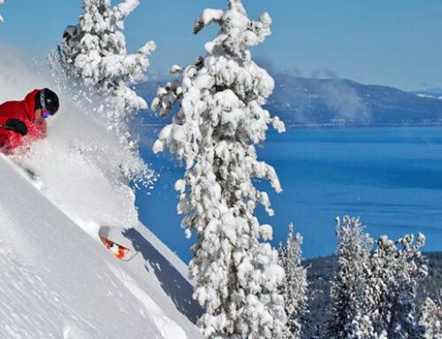 Lake Tahoe Annual Trip